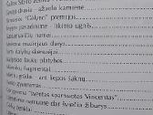 Ateik bangosna užmaršties - nuotraukos Nr. 8