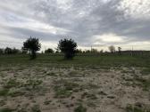 Sklypas Palangoje - nuotraukos Nr. 9