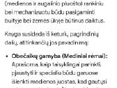 Rėmų, lankų, rėčių, sietų gamyba - nuotraukos Nr. 5
