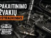 Purkštuku/žvakiu išemimas - nuotraukos Nr. 2