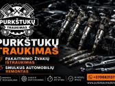 Purkštuku/žvakiu išemimas - nuotraukos Nr. 4
