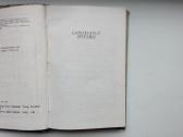 P. Handke. Kairiarankė moteris. Vartininkas bijo v - nuotraukos Nr. 3