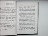P. Handke. Kairiarankė moteris. Vartininkas bijo v - nuotraukos Nr. 7