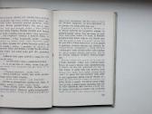 P. Handke. Kairiarankė moteris. Vartininkas bijo v - nuotraukos Nr. 8