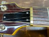El gitara Morris falcon necktrought 1980 - nuotraukos Nr. 3