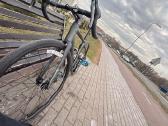 Trek domane al2 2026 - nuotraukos Nr. 5