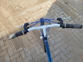 26" dviratis Capriolo - nuotraukos Nr. 3