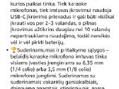Belaidžiai mikrafonai Talomen 2vnt - nuotraukos Nr. 5