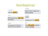 Ausinės Pro3 (2026) garantija, atsiliepimai - nuotraukos Nr. 8