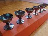 Taurelės melchioras - nuotraukos Nr. 2