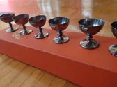 Taurelės melchioras - nuotraukos Nr. 3