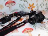 Canon EOS 500d + Ef-s 18–55 mm Is II - nuotraukos Nr. 2