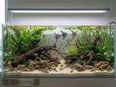 Akvariumu irengimas ir prieziura - nuotraukos Nr. 3