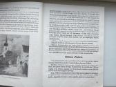 J. Burkus. Teresė Neumannaitė. 1993 m. leid. - nuotraukos Nr. 5