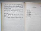 Vyt. Misevičius. Jaunasis pagonis.1983 m. leid - nuotraukos Nr. 9