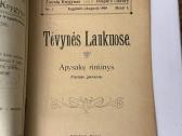 Tėvynės laukuose 1909 m. Antikvarinė knyga - nuotraukos Nr. 2