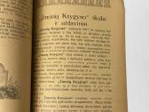Tėvynės laukuose 1909 m. Antikvarinė knyga - nuotraukos Nr. 6