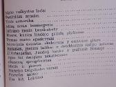 Mano vaikystės ledai - nuotraukos Nr. 4