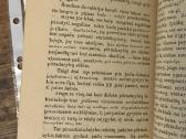Keletas minčių apie mirties bausmę 1909 m. - nuotraukos Nr. 5