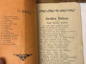 Širdies balsai 1908 m. Antikvarinė knyga - nuotraukos Nr. 2