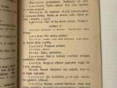 Nepaisytoja 1929 m. - nuotraukos Nr. 4