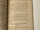 Nepaisytoja 1929 m. - nuotraukos Nr. 5