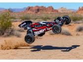 RC Buggy modeliai - nuotraukos Nr. 13