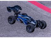 RC Buggy modeliai - nuotraukos Nr. 15