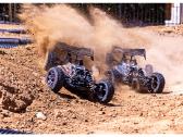 RC Buggy modeliai - nuotraukos Nr. 17