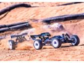 RC Buggy modeliai - nuotraukos Nr. 21