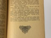 Tėvynės laukuose 1909 m. - nuotraukos Nr. 5