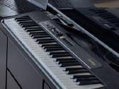 Casiotone Lk-s250 - nuotraukos Nr. 2