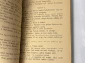 Nepaisytoja 1929 m. - nuotraukos Nr. 5