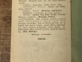 Kantri Alena 1919 m. - nuotraukos Nr. 5