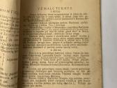 Nepaisytoja 1929 m. - nuotraukos Nr. 3
