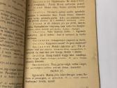 Nepaisytoja 1929 m. - nuotraukos Nr. 5