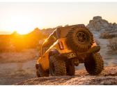 RC Crawler - radijo bangomis valdomi modeliai - nuotraukos Nr. 17
