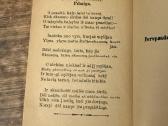 Kerštinga meilė 1908 m. - nuotraukos Nr. 6