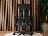 Herman Miller embody - nuotraukos Nr. 4