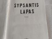 Šypsantis lapas - nuotraukos Nr. 2