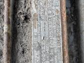 Galingas zeimeris - nuotraukos Nr. 6