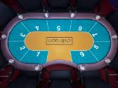 Pokerio stalų nuoma Vilniuje - nuotraukos Nr. 2
