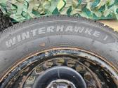 Winterhawke I M/s padangos R15 ir plien. diskai - nuotraukos Nr. 11