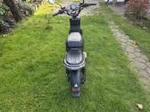 Elektrinis Niu - nuotraukos Nr. 3