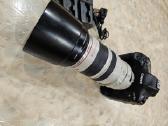 Canon EOS-1D X su linze Canon 100-400 Ultrasonic - nuotraukos Nr. 2
