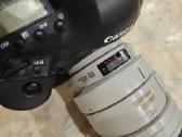Canon EOS-1D X su linze Canon 100-400 Ultrasonic - nuotraukos Nr. 3