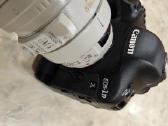 Canon EOS-1D X su linze Canon 100-400 Ultrasonic - nuotraukos Nr. 4