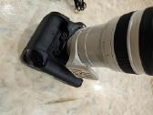 Canon EOS-1D X su linze Canon 100-400 Ultrasonic - nuotraukos Nr. 7
