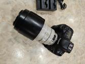 Canon EOS-1D X su linze Canon 100-400 Ultrasonic - nuotraukos Nr. 9