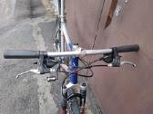 Everest L/55cm kalnu MTB hibridinis dviratis - nuotraukos Nr. 4